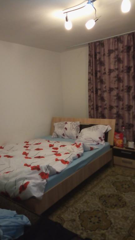 Central Apartment 2 Timisoara Exterior photo